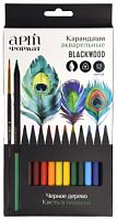 Набор акварельных карандашей АРТформат Blackwood 12 цв. трехгран. корп. дерев. карт. уп. супермягкий